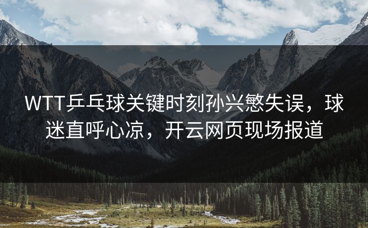 WTT乒乓球关键时刻孙兴慜失误，球迷直呼心凉，开云网页现场报道