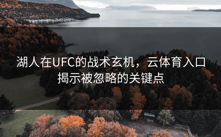 湖人在UFC的战术玄机，云体育入口揭示被忽略的关键点