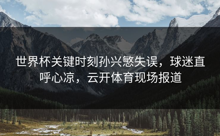 世界杯关键时刻孙兴慜失误，球迷直呼心凉，云开体育现场报道